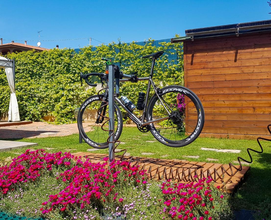 La Mimosa - Bike Friendly Home Rosignano Solvay Ngoại thất bức ảnh